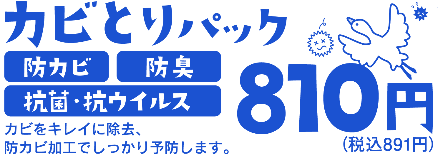 カビ取りパック810円