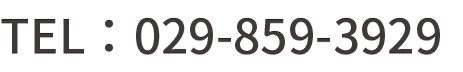 TEL：029-859-3929