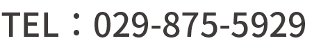 TEL：029-875-5929